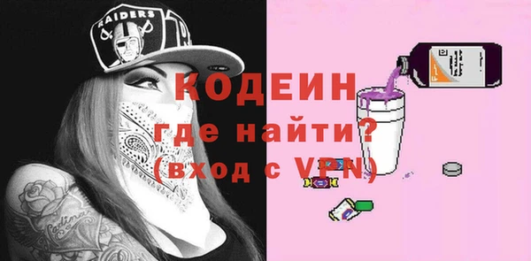 гашик Ладушкин