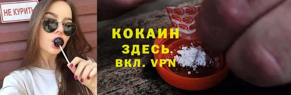 гашик Ладушкин