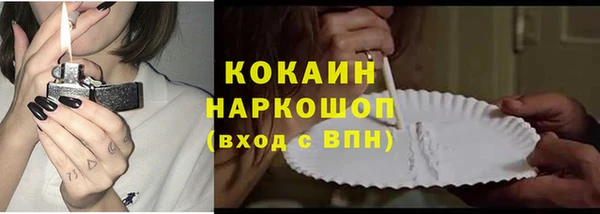 сатива Лагань