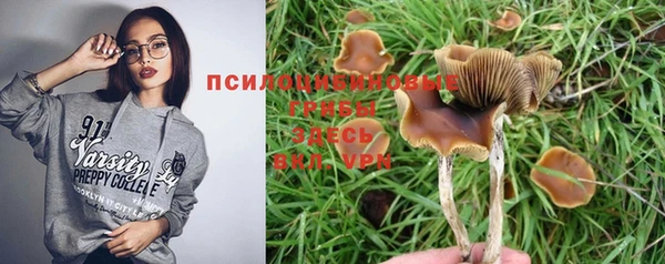 сатива Лагань