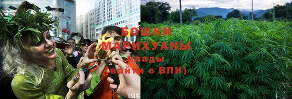 гашик Ладушкин