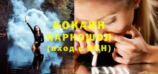 гашик Ладушкин
