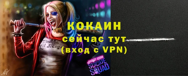 гашик Ладушкин