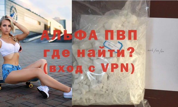 гашик Ладушкин