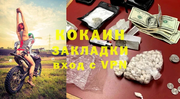 гашик Ладушкин