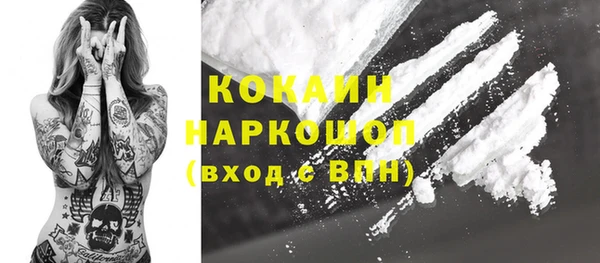 гашик Ладушкин