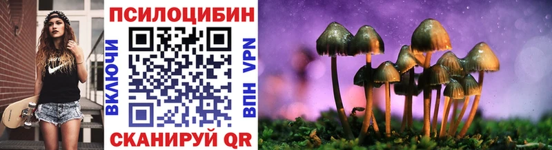 Купить  Славск  Галлюциногенные грибы Magic Shrooms 
